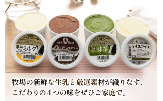 《柏木牧場》国産牛100%ハンバーグ 12個＆卵不使用 アイスクリーム 8個セット｜牛肉 牛 ハンバーグ アイス アイスクリーム  [1383]